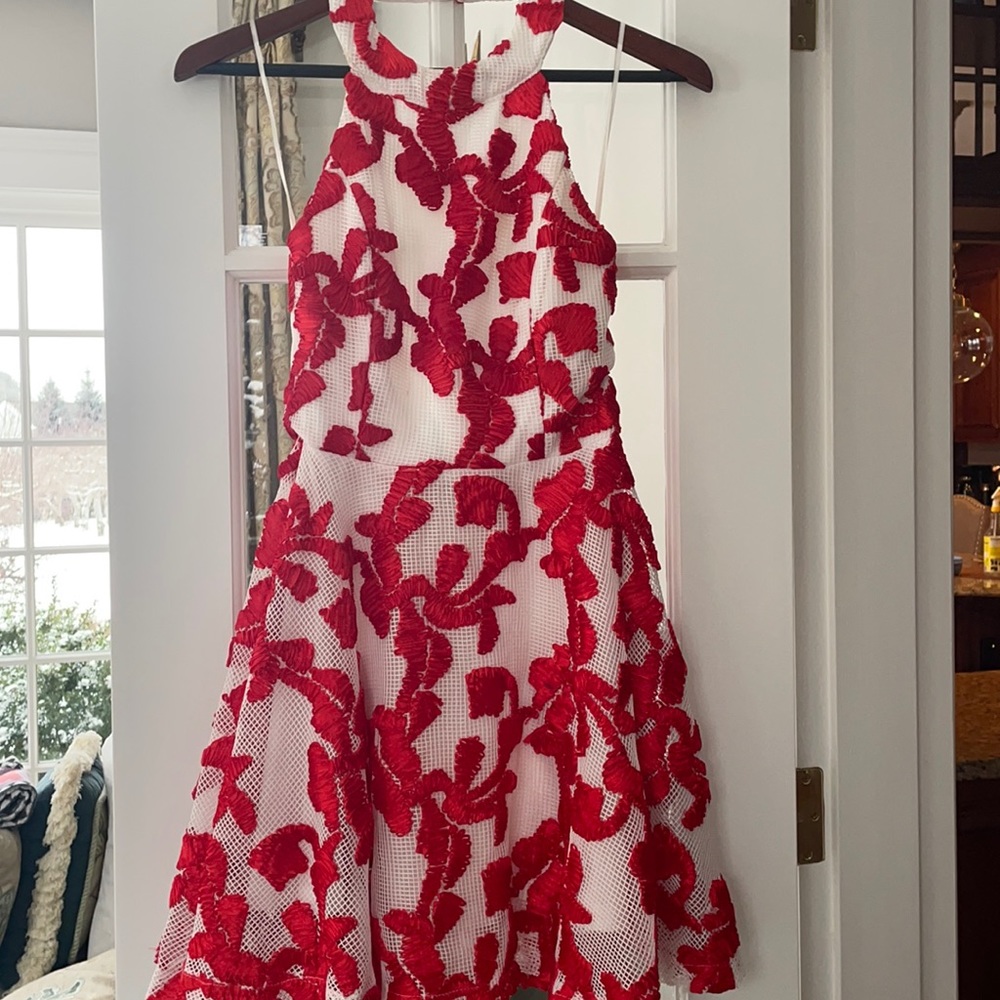 Red and White Floral Dress